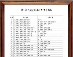 第一批专精特“小巨人”企业